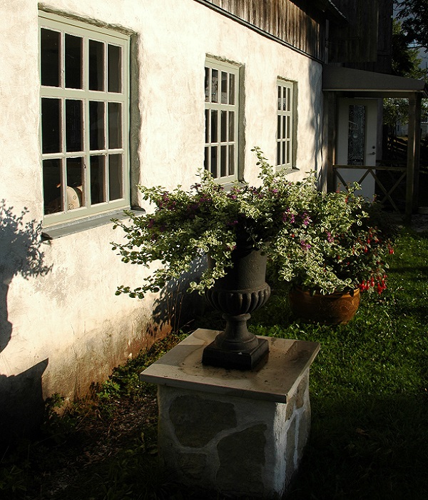 service image